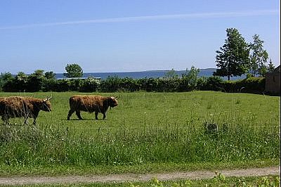 Ostseeblick von der Terrasse