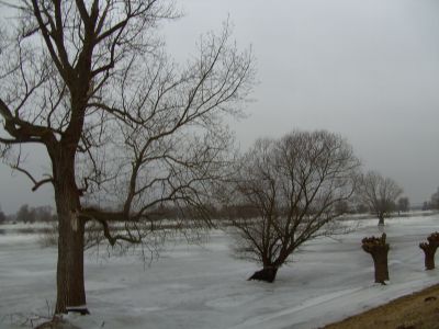 Winterhochwasser an der Elbe