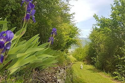 Wanderweg Trockenmauern